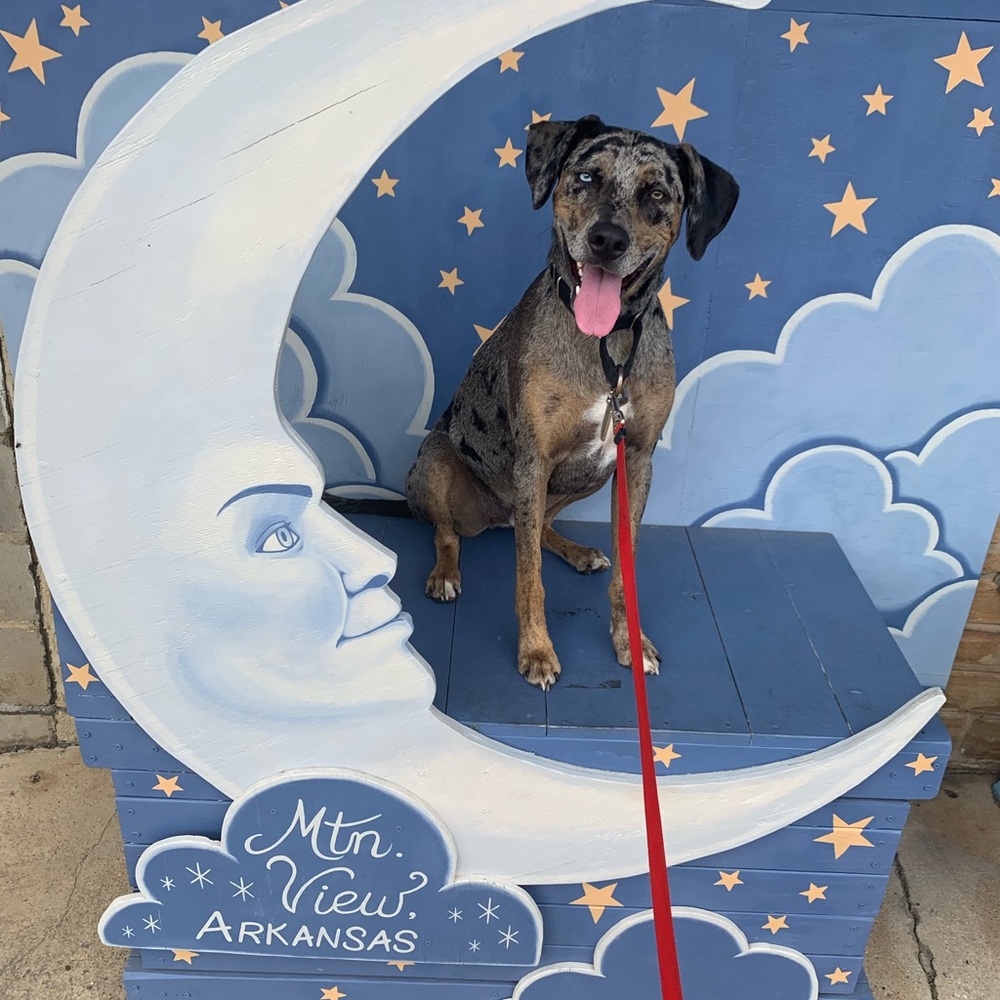 Meet your Posher, Wesley